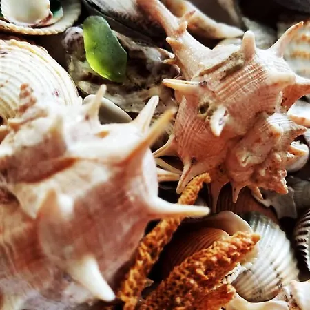 La Nuova Casetta Di Ξενοδοχείο *